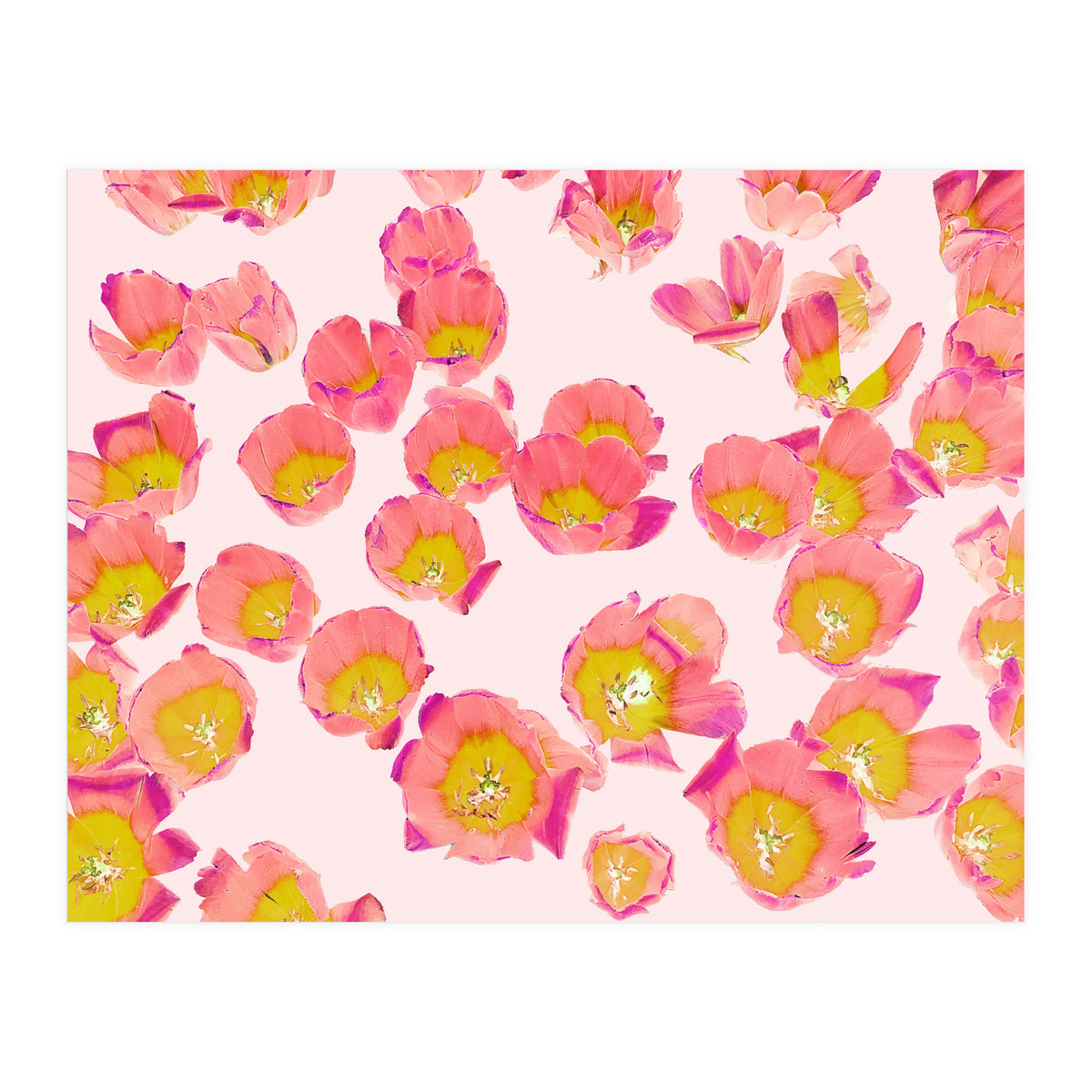 Flower Therapy (Print Only)