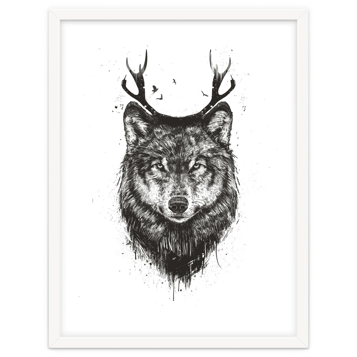 Deer Wolf Bw