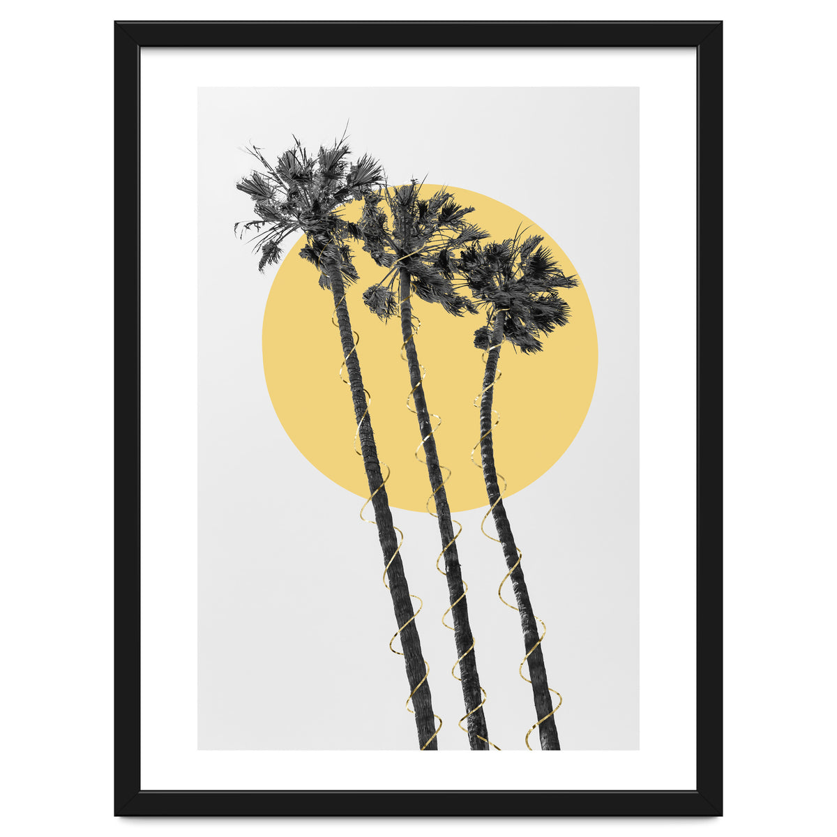 Palm Trees in the sun