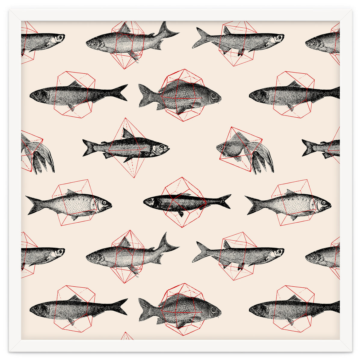 Fish In Geometrics