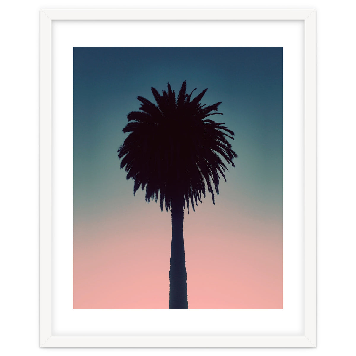 Sundown Palm
