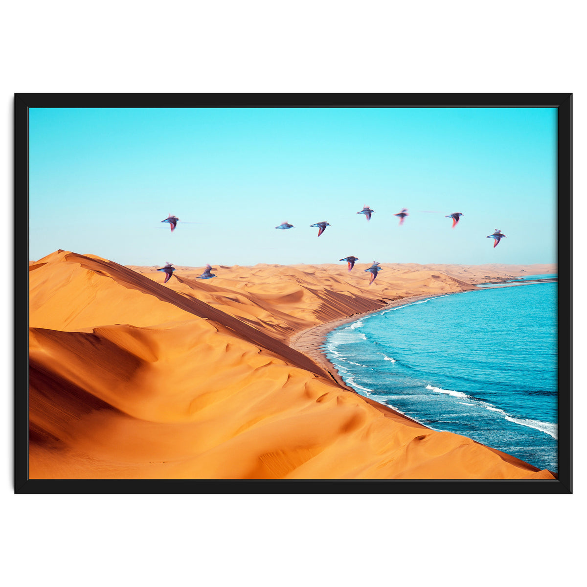 Desert Birds