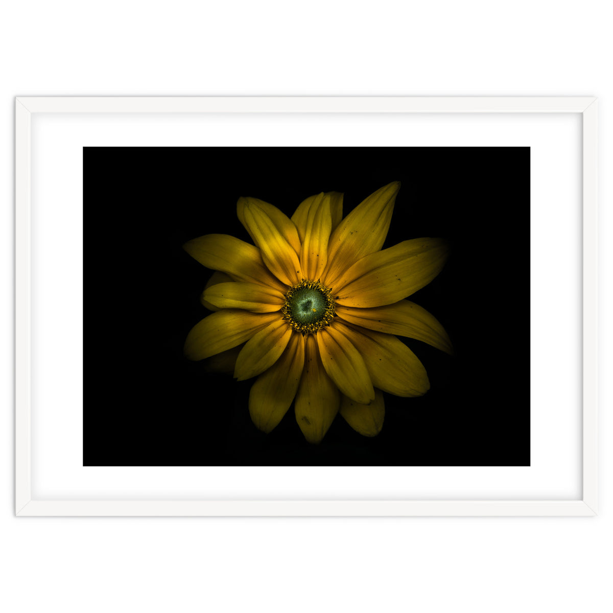 Backyard Flowers No 34 Color Version