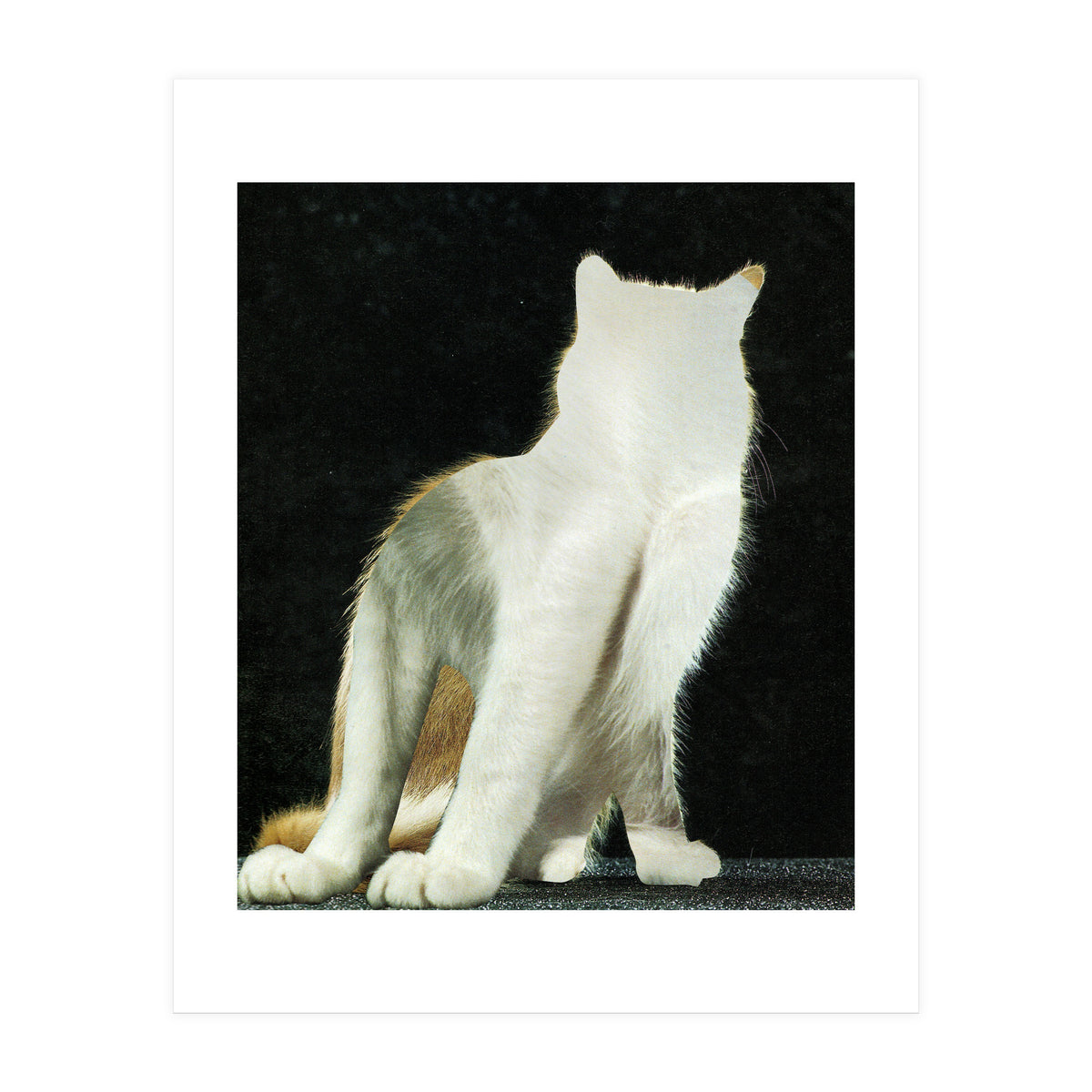 KatzenJammer 11 (Print Only)