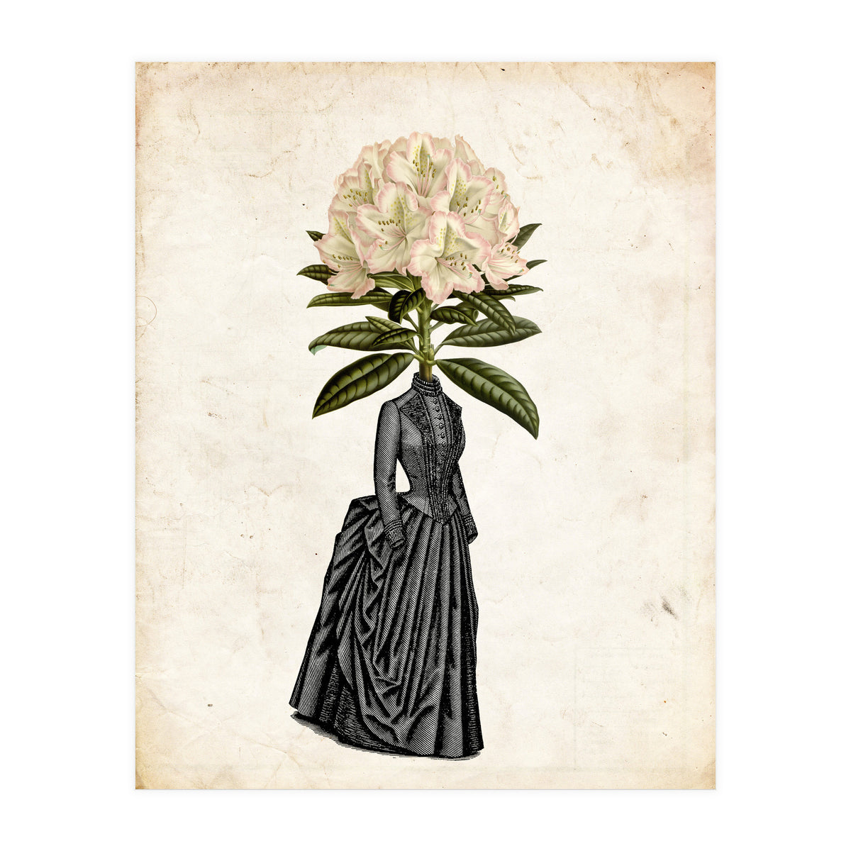 woman vintage (Print Only)