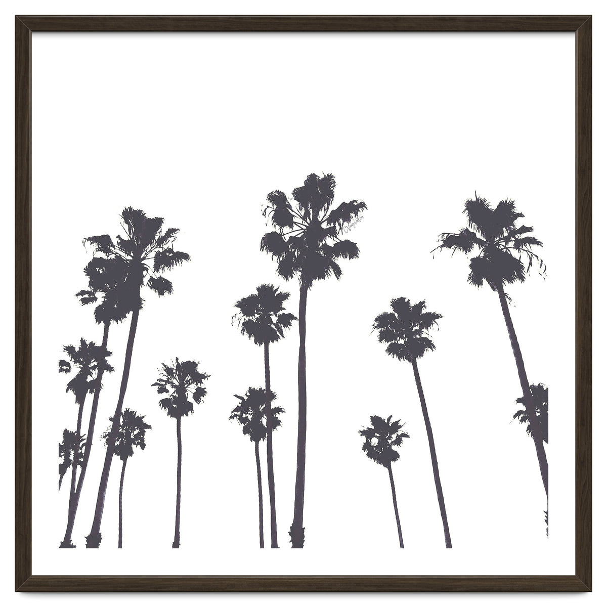 Palms & Sunset-Minimal B&W