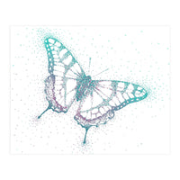 Blue Swallowtail (Print Only)