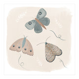 Moths in the moonlight  (Print Only) thumbnail