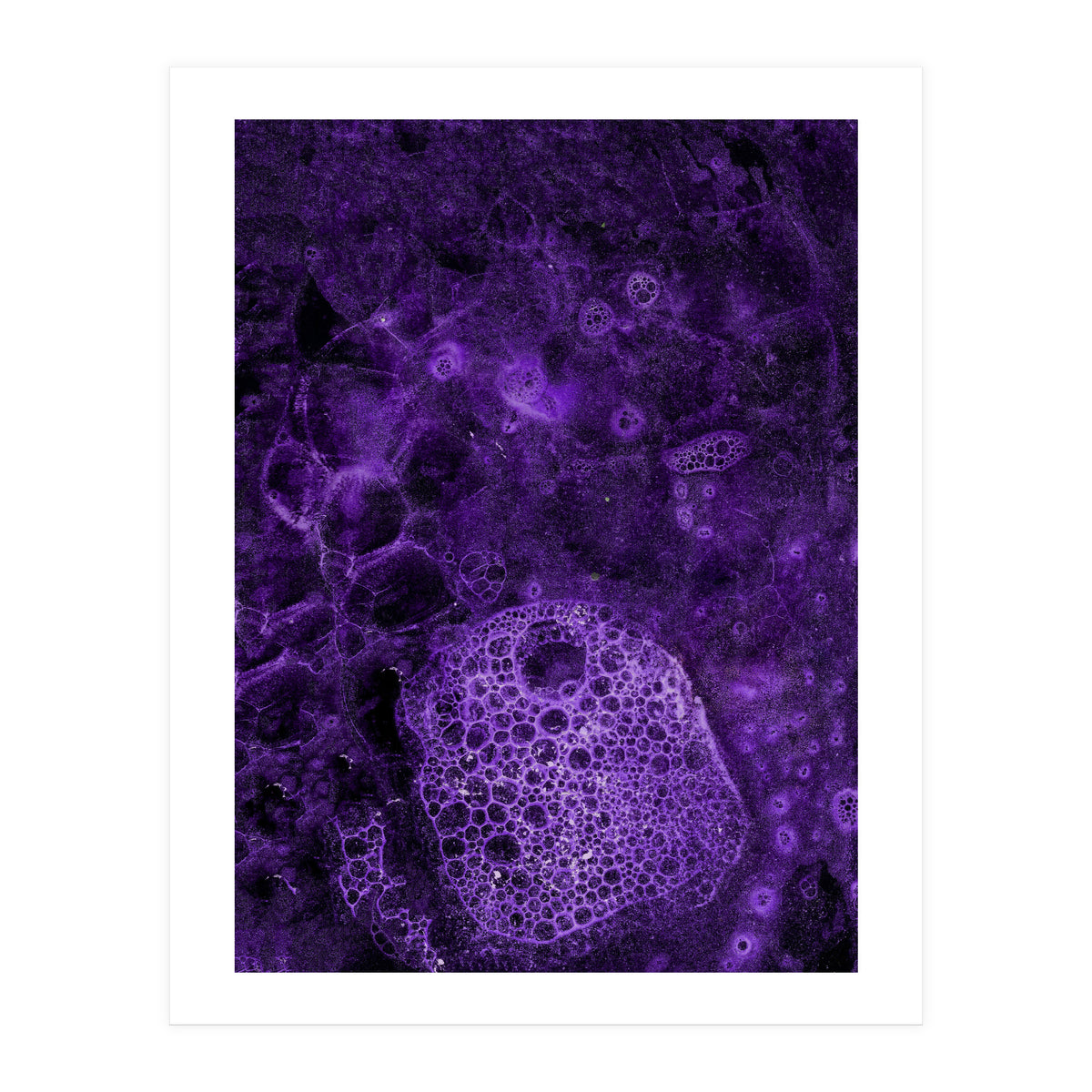 Deep purple (Print Only)