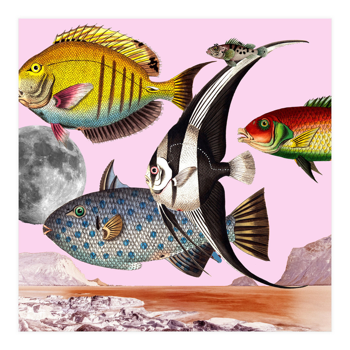 Fish World Pink (Print Only)
