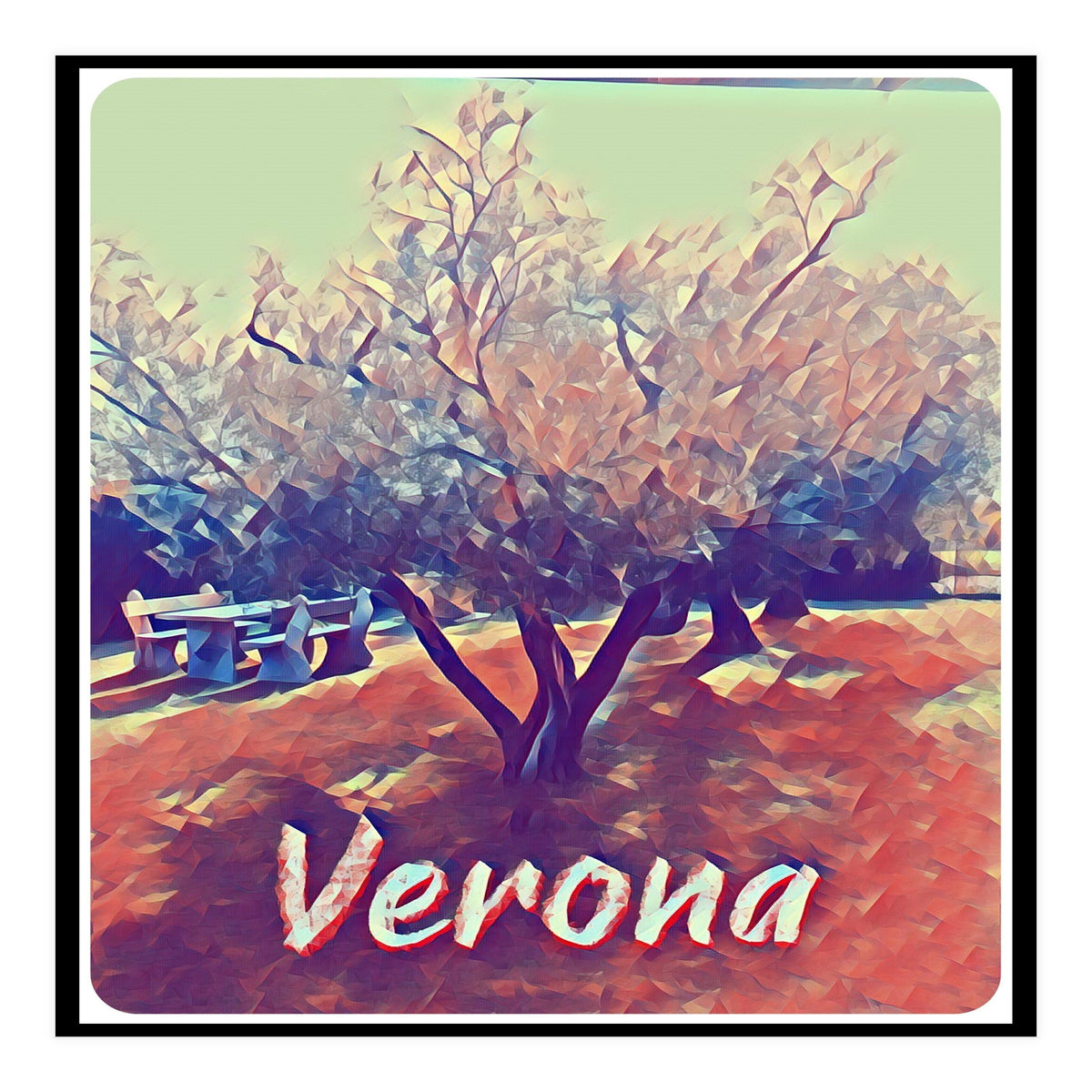 Olive Tree In Verona (Print Only)