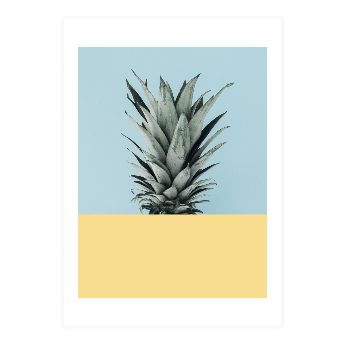 Scandinavian pineapple III (Print Only)