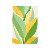 Sunshine Flora (Print Only) thumbnail