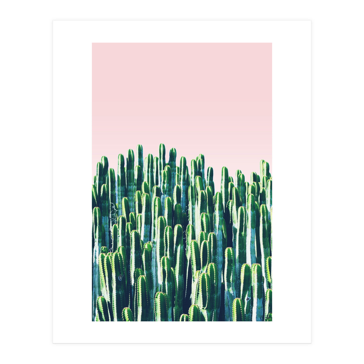Cactus & Sunset II (Print Only)