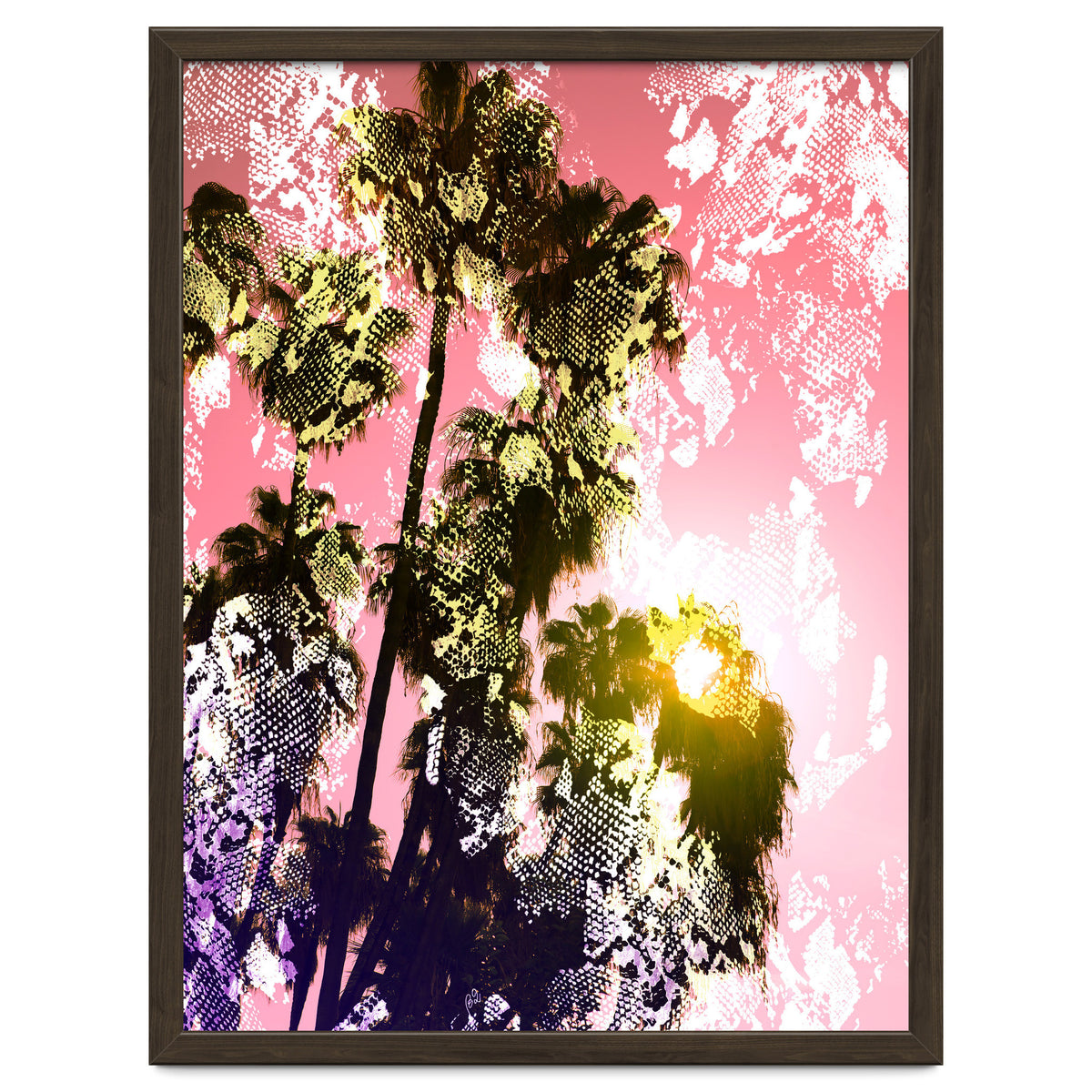 Snake sunset in paradise