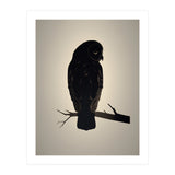 Owl Minimalist Picture (Print Only) thumbnail