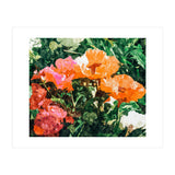 Blossoming Florals (Print Only) thumbnail