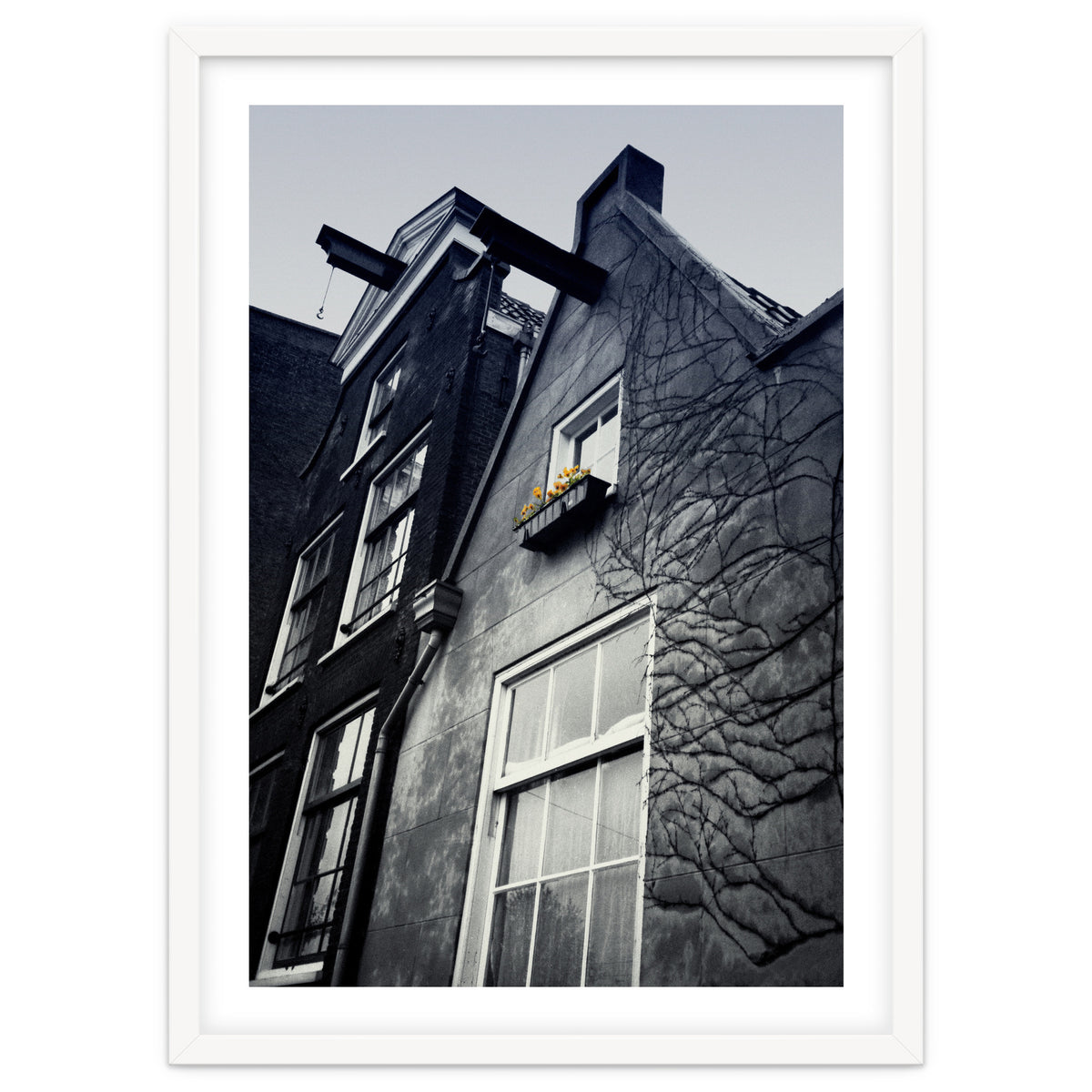 Amsterdam. House With Yellow Flowers.