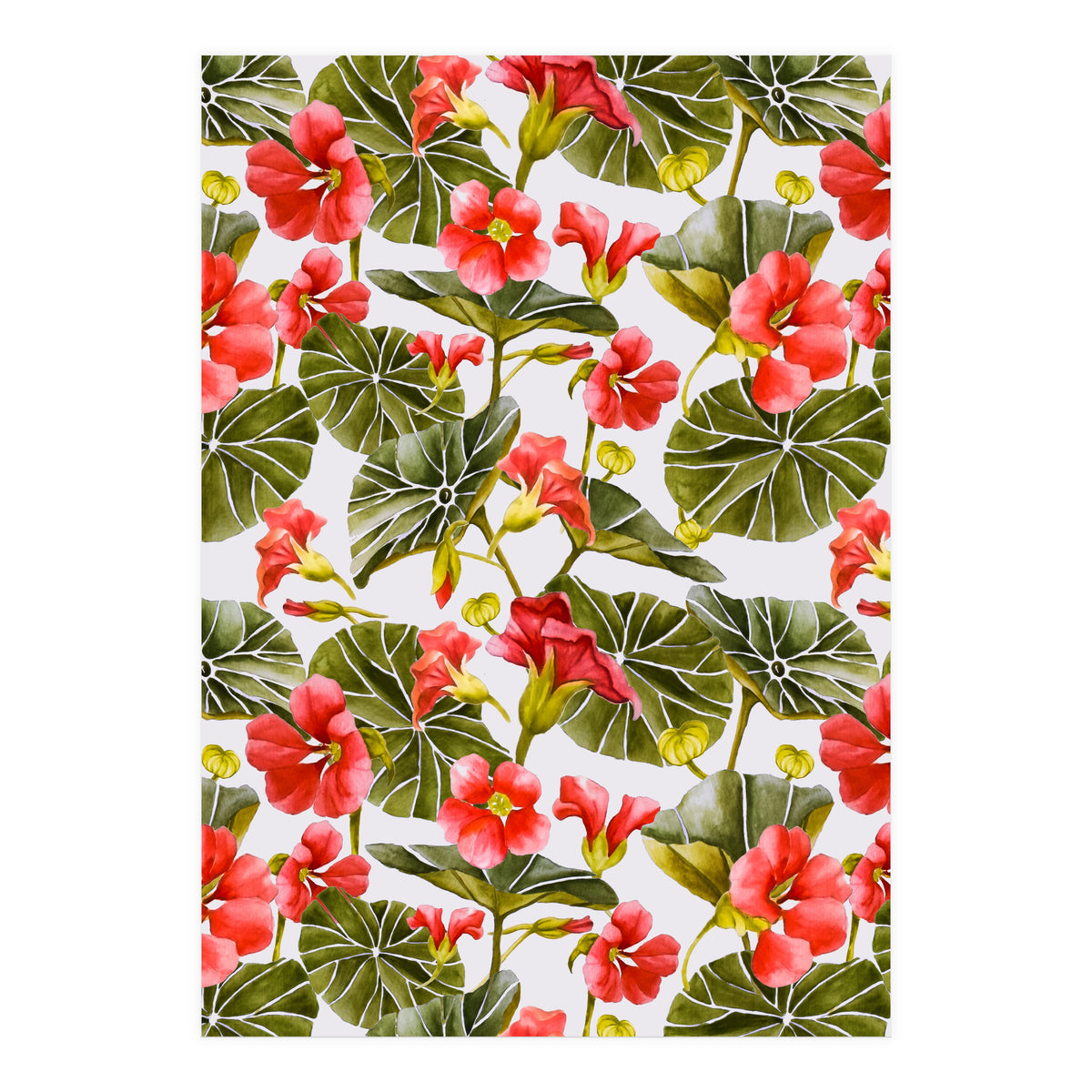 Nasturtiums watercolor 02 (Print Only)