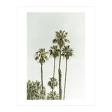 Palm Trees Summertime  (Print Only) thumbnail