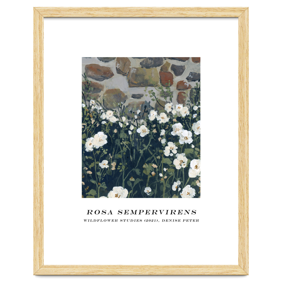 Rosa Sempervirens