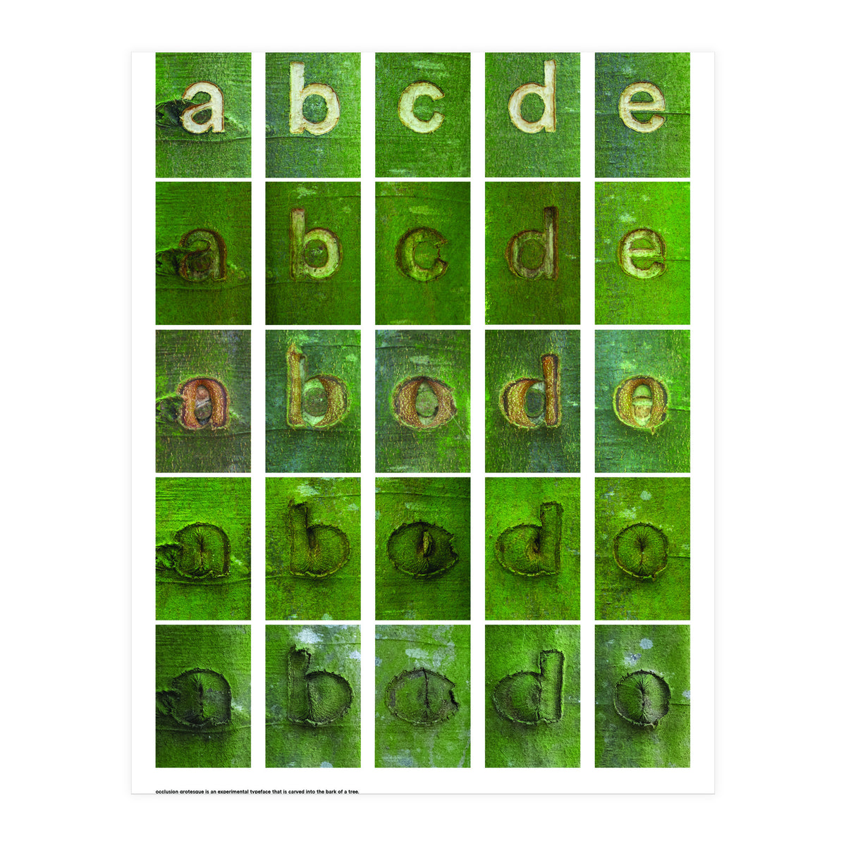abcde (Print Only)