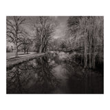 Bute Park, Cardiff  (Print Only) thumbnail
