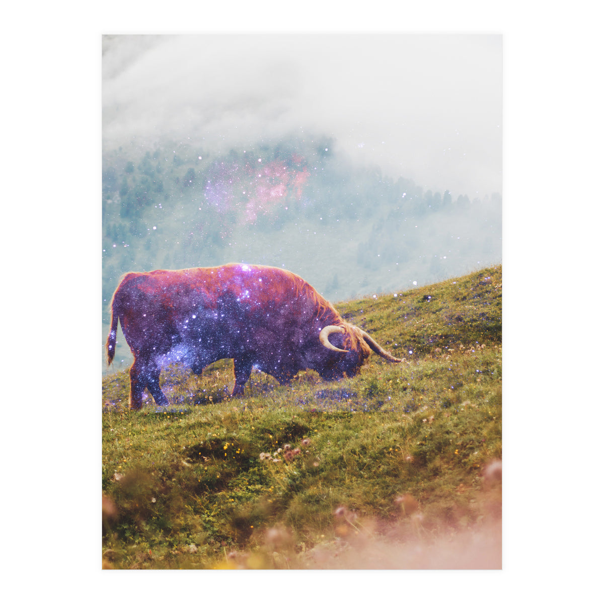 Space Cow Series I (Print Only)