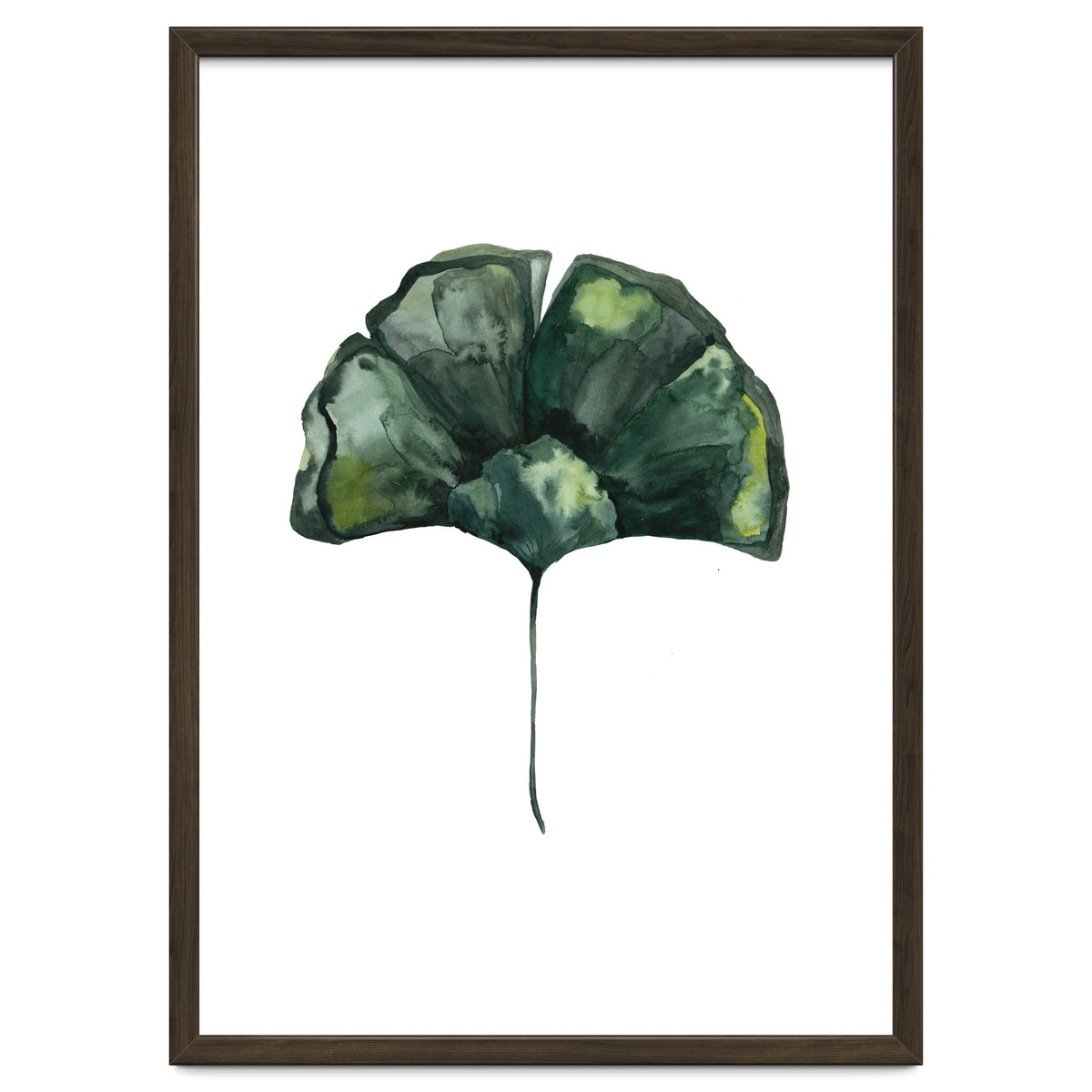 Botanical Illustration Ginko