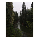 Evergreen State (Print Only) thumbnail