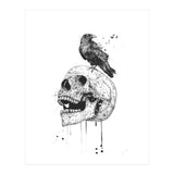 New Skull (bw) (Print Only) thumbnail
