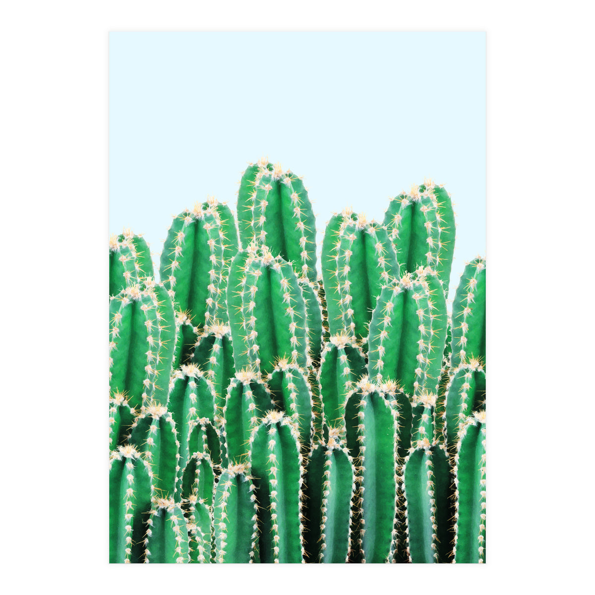 Kaktos II (Print Only)