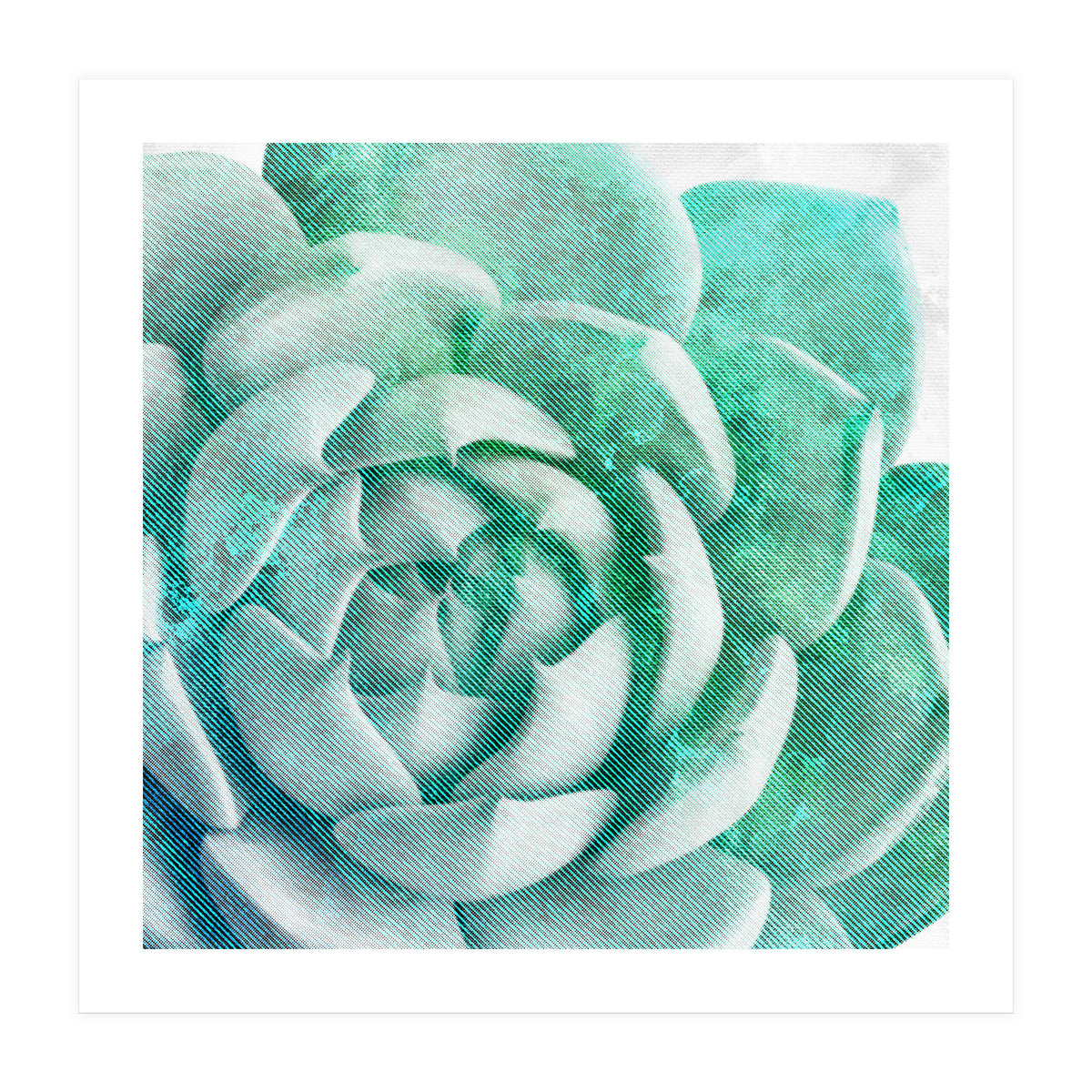 Rough Beauty 1 (Print Only)