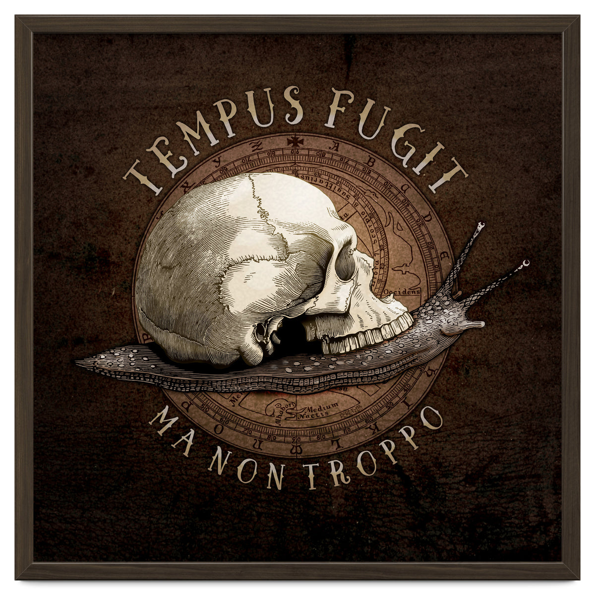Tempus Fugit (ma non troppo)