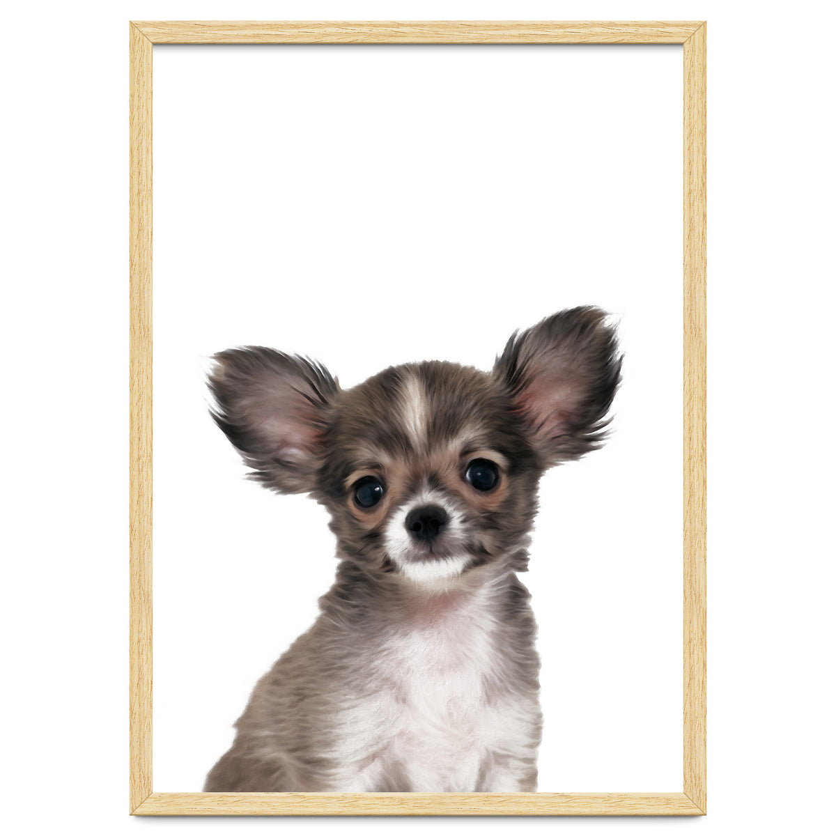 Chihuahua