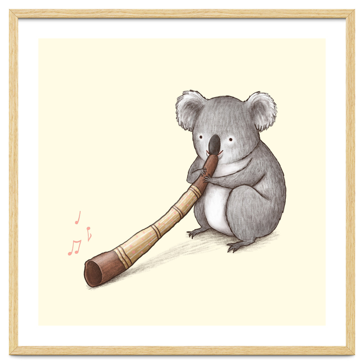 Koala Playing a Didgeridoo