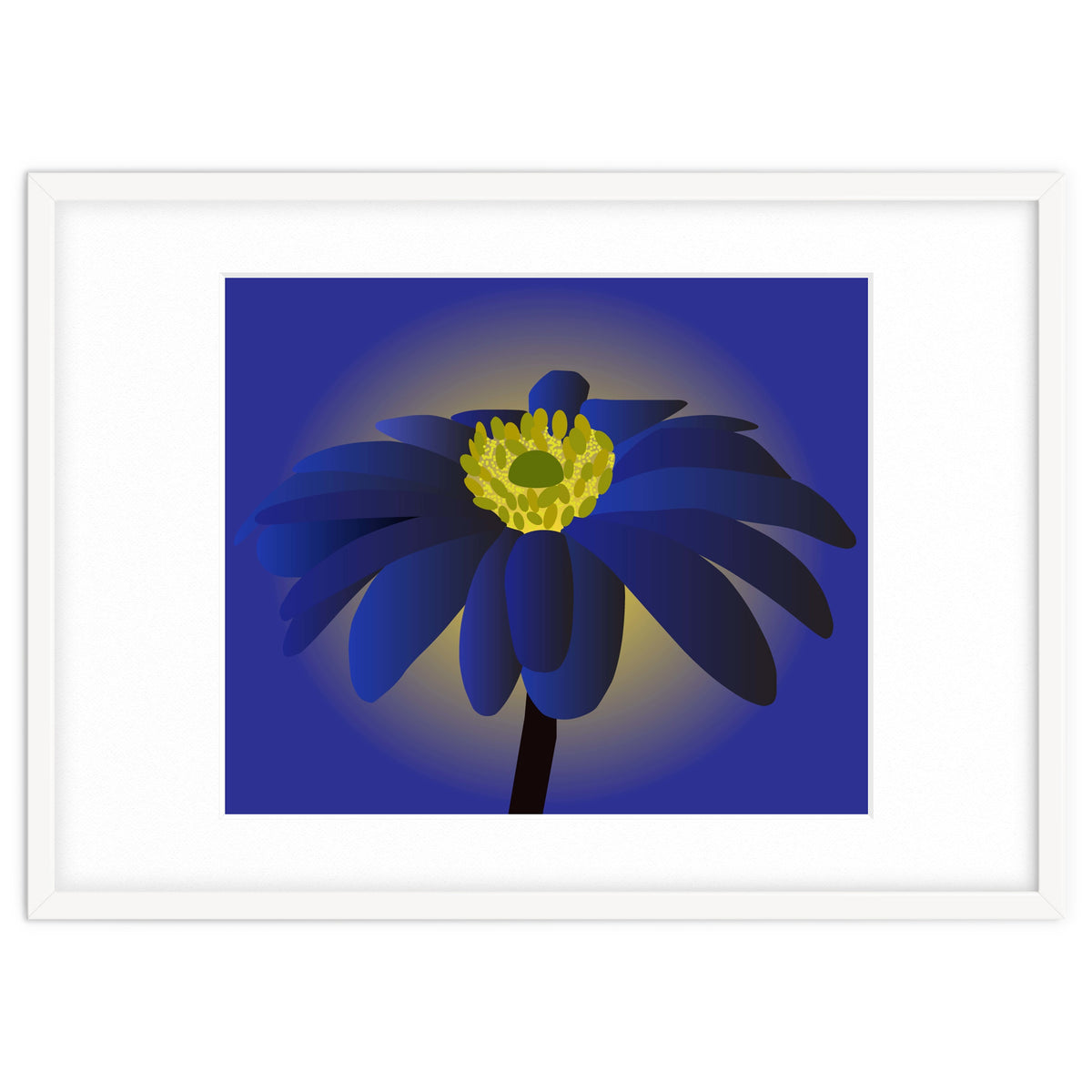 Anemone Blanda Flower Art