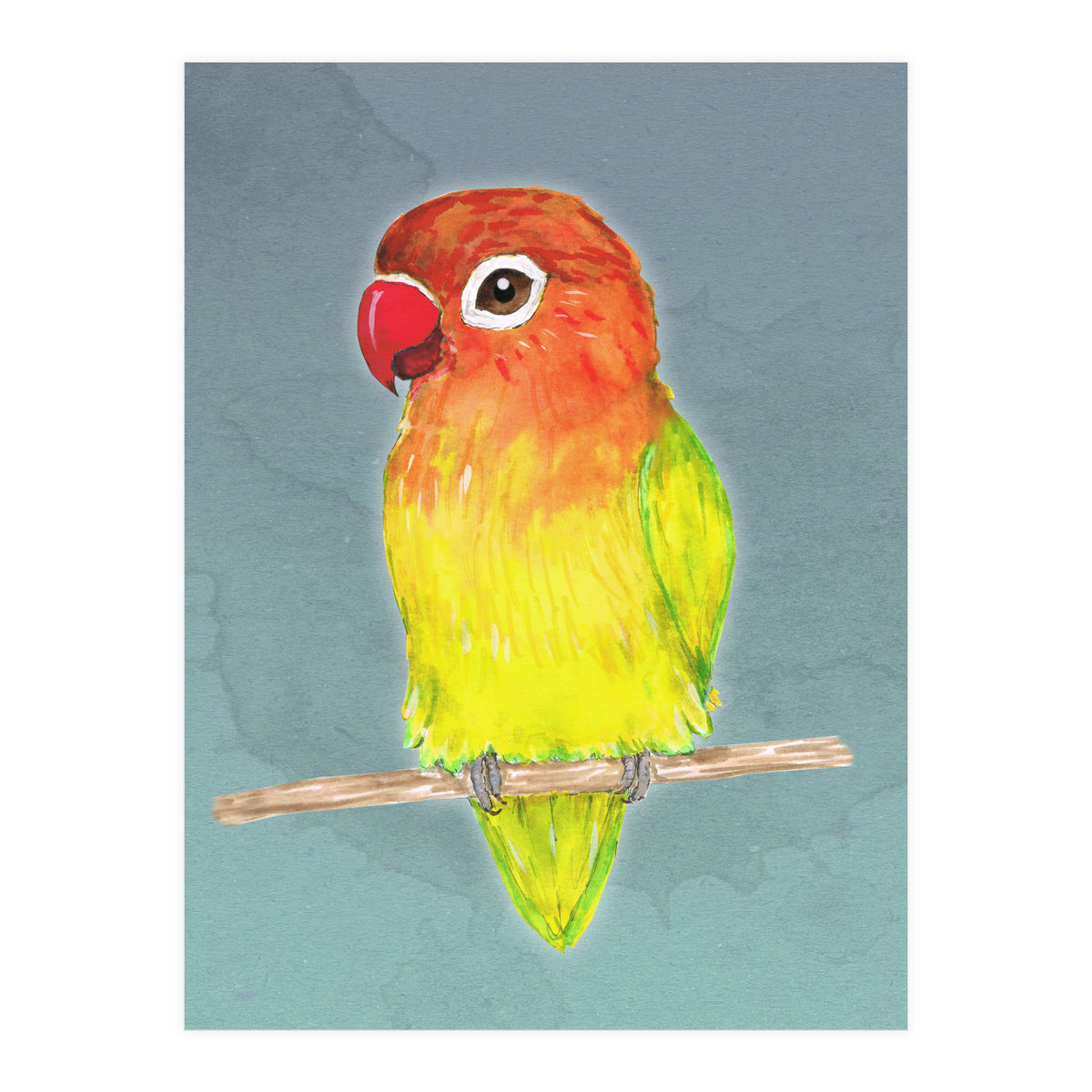 Cute yellow Fischer's lovebird (Print Only)