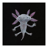 Axolotl (Print Only) thumbnail