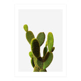 77 (Print Only) thumbnail