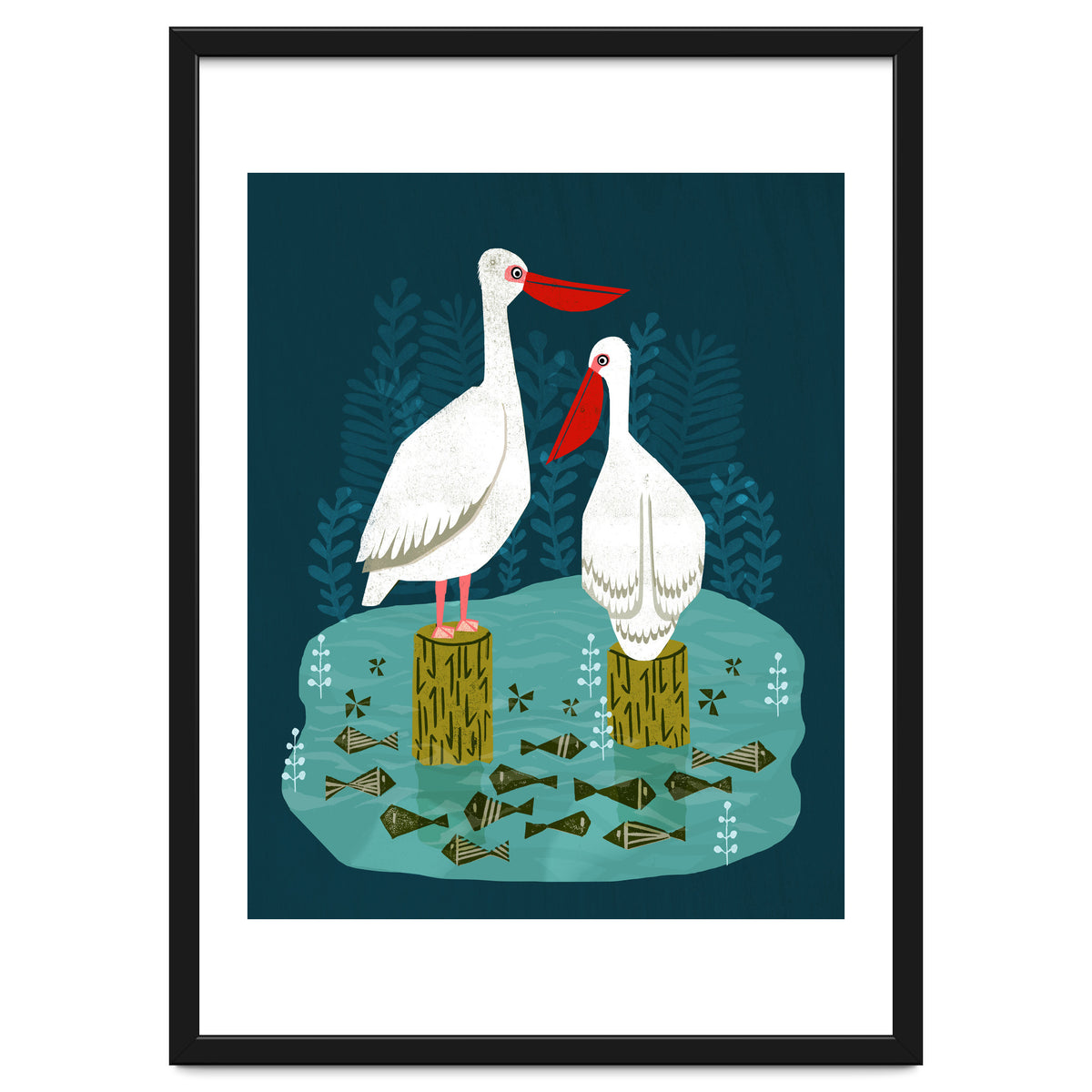 Pelicans
