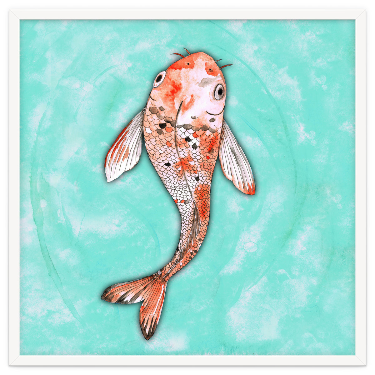 Koi fish