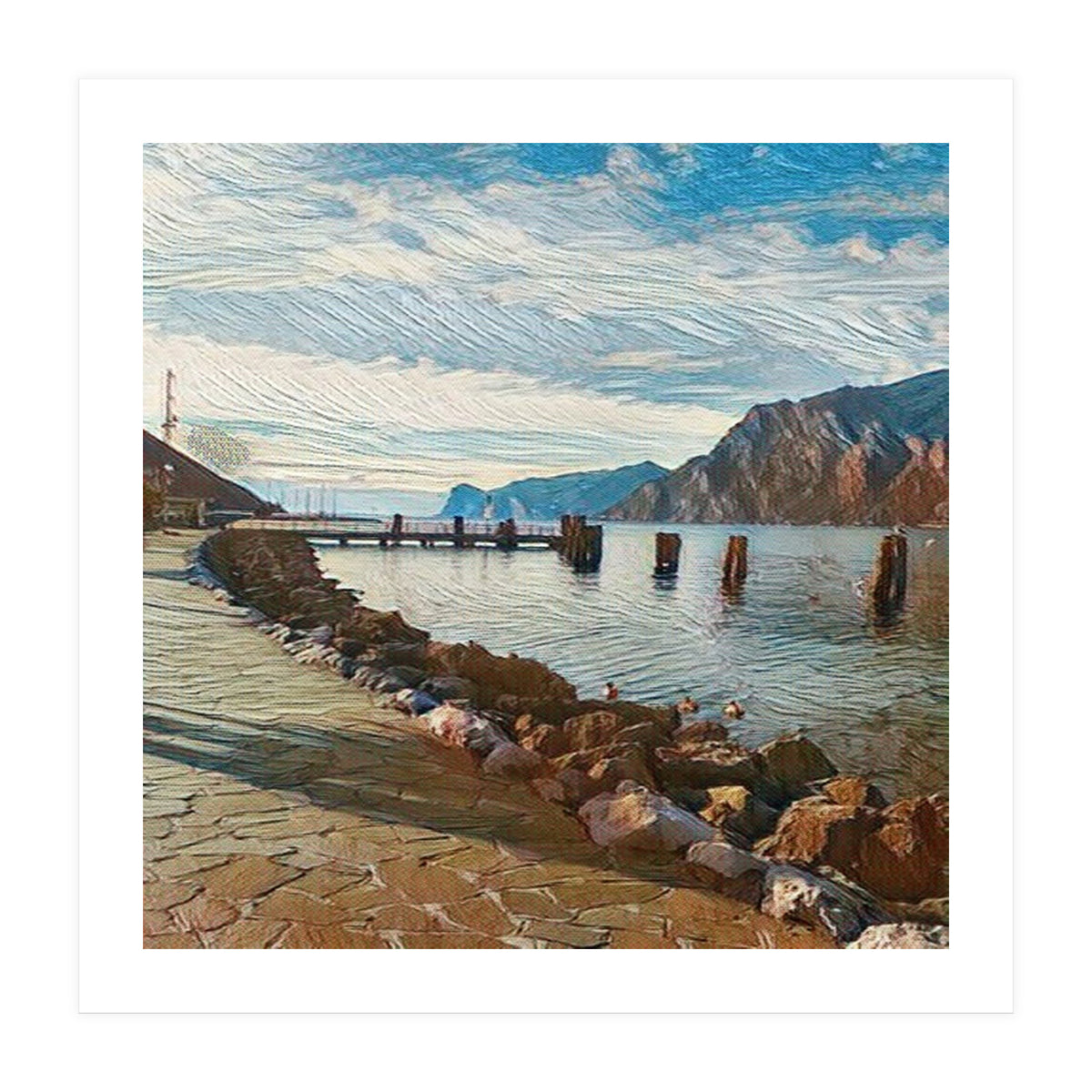 Ducks on Lake Garda, Italy. (Print Only)