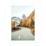 Snow and Golden Pine (Print Only) thumbnail