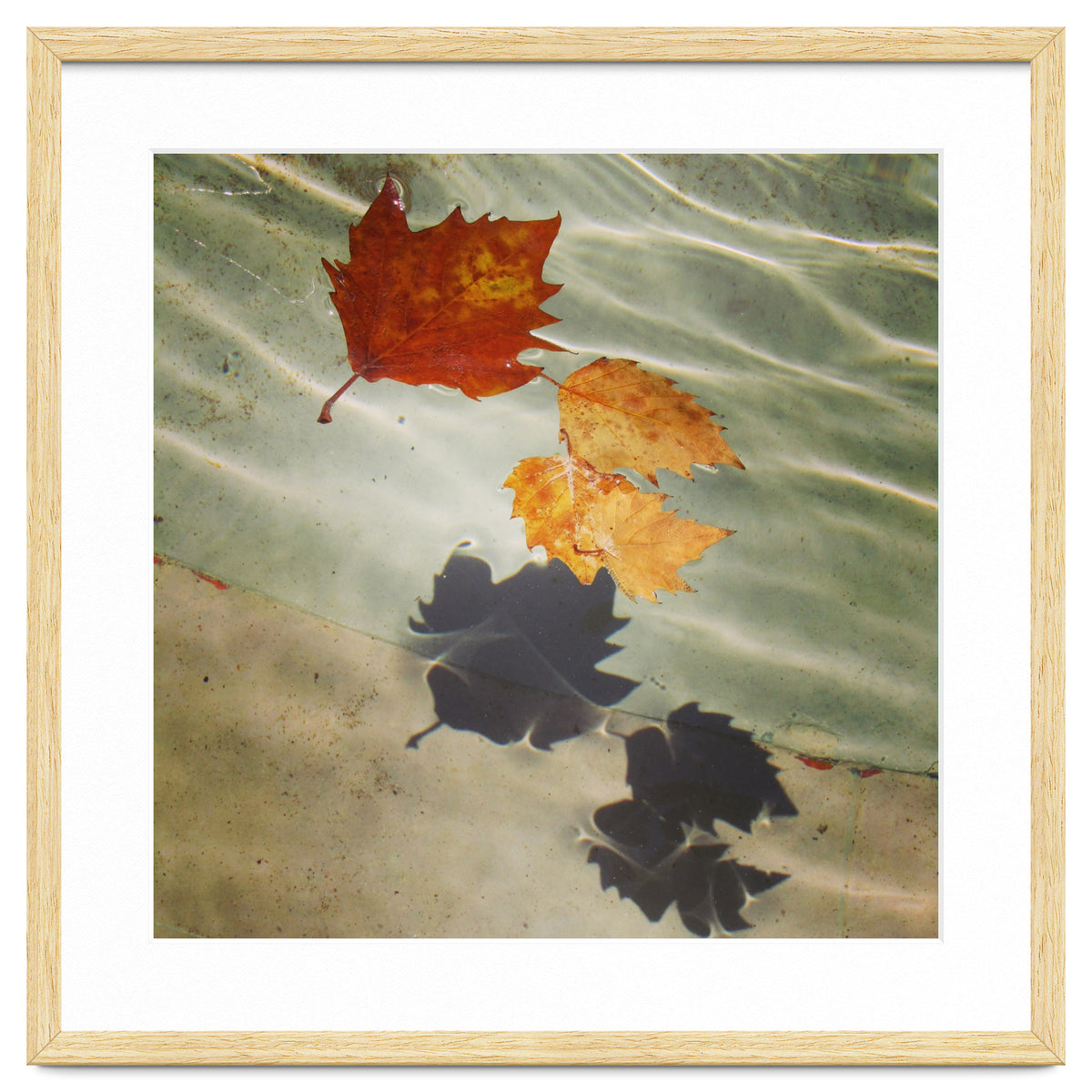 Floating leaves
