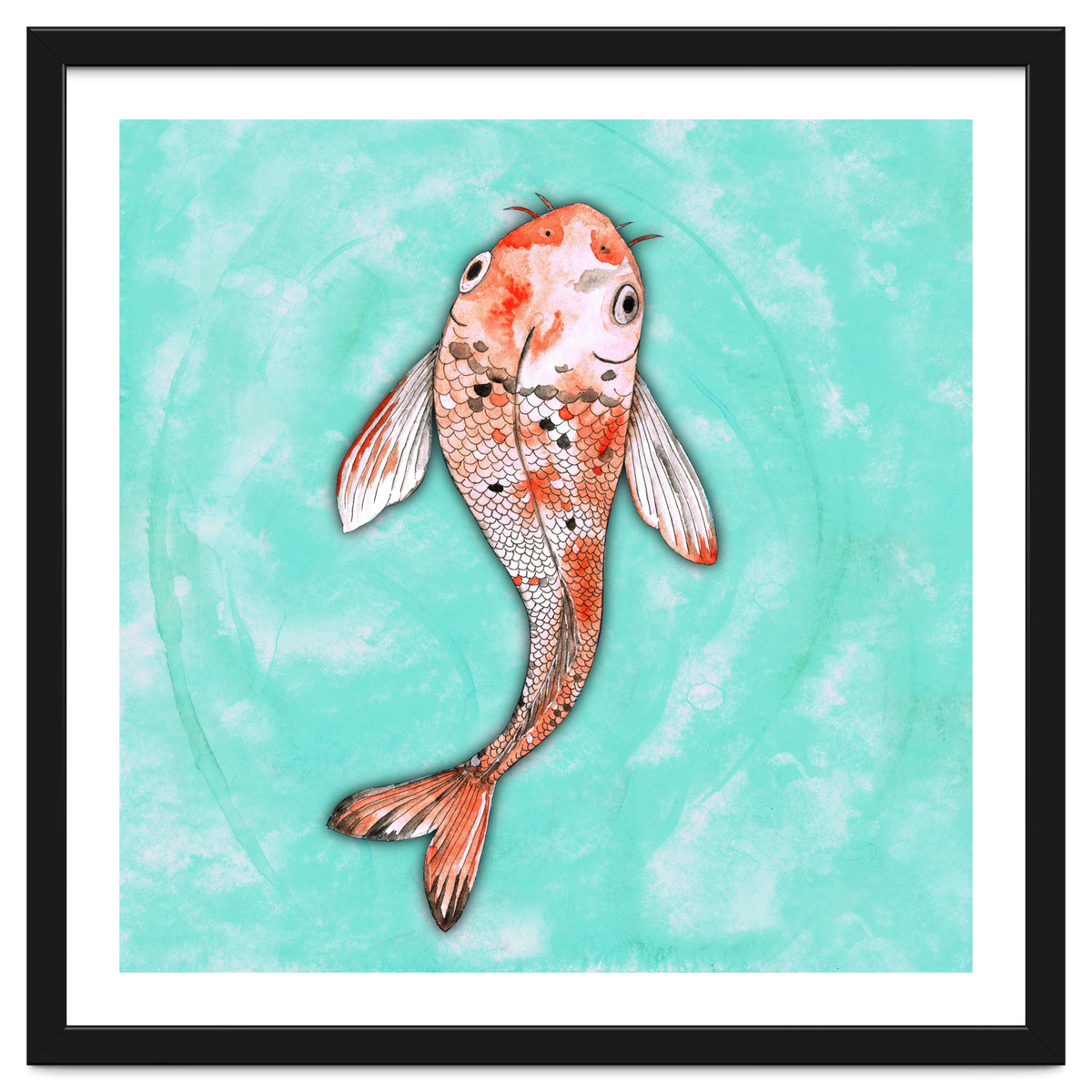 Koi fish