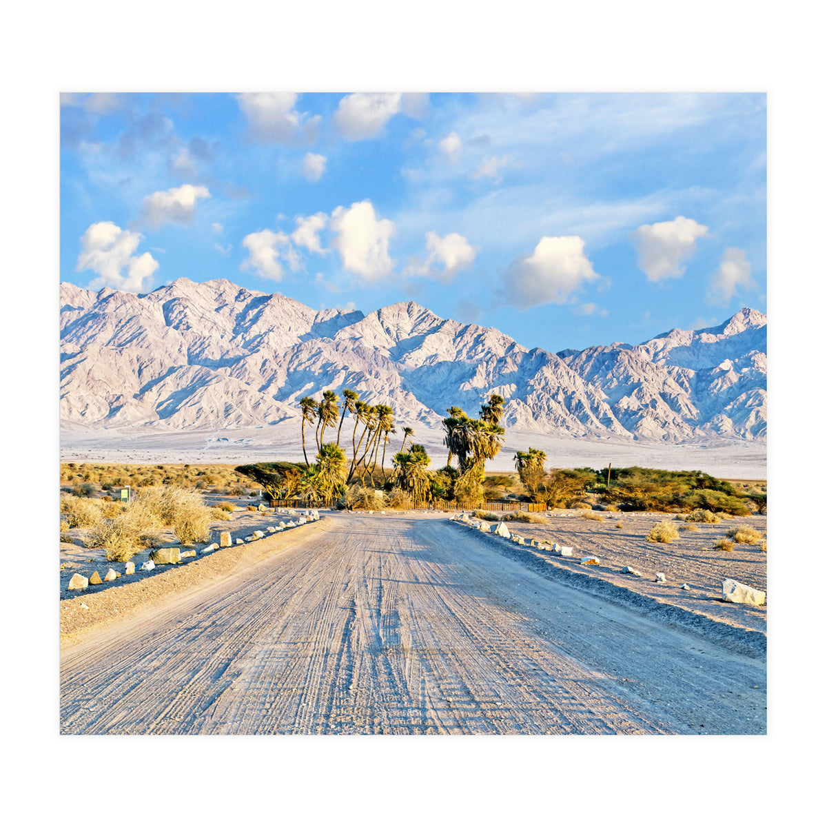 Summer Scenic (Print Only)