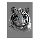 Sketch Tiger (Print Only) thumbnail