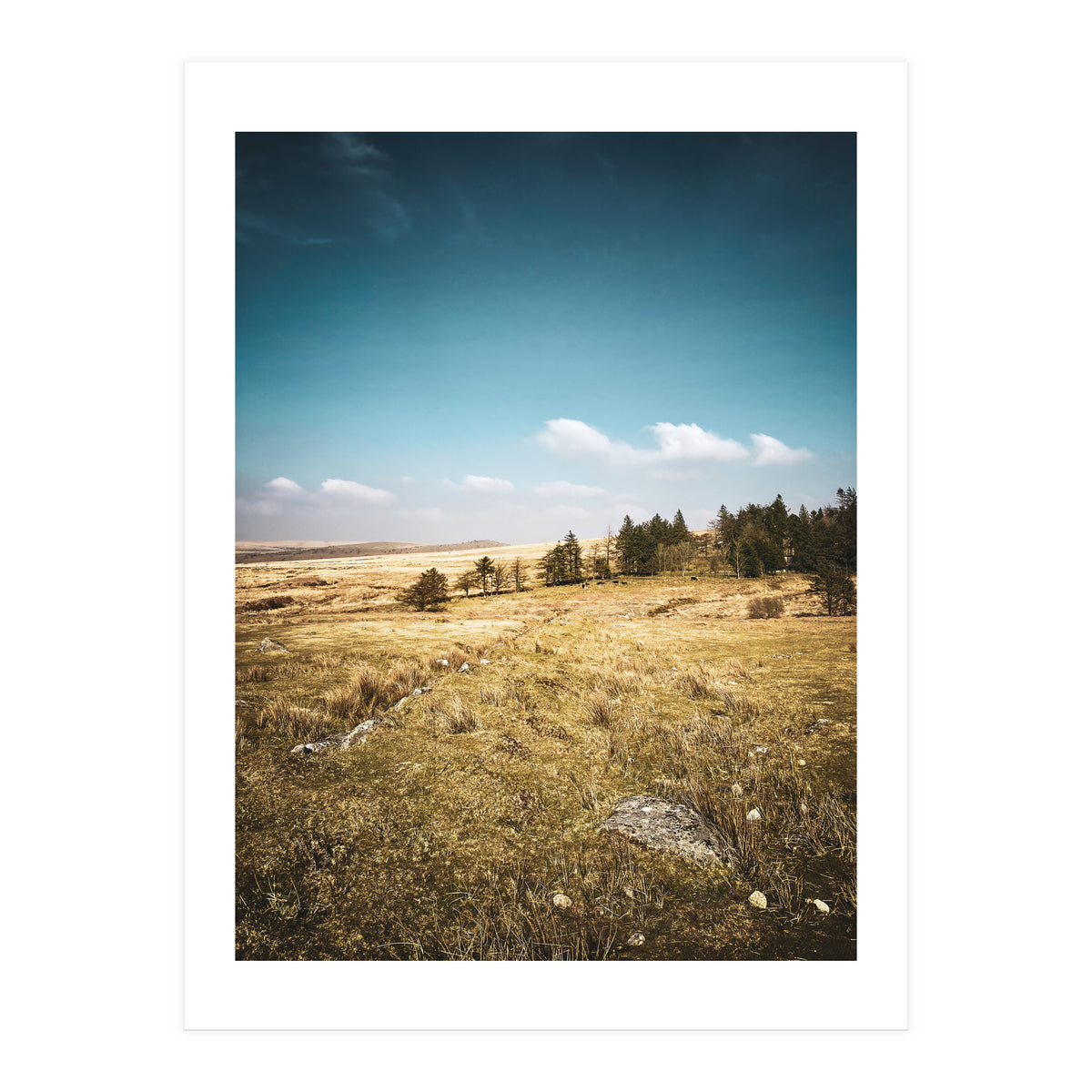 Dartmoor  (Print Only)