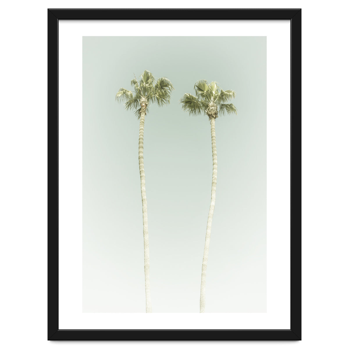 Vintage Palm Trees